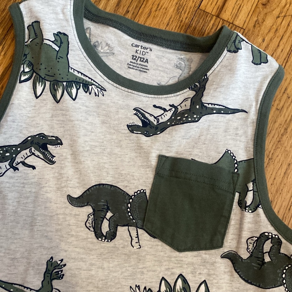 Carter's Dinosaur Tank Top - 12